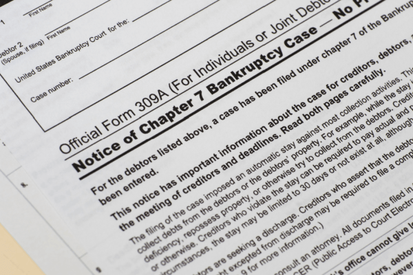what is chapter 7 mostly about official bankruptcy court notice form