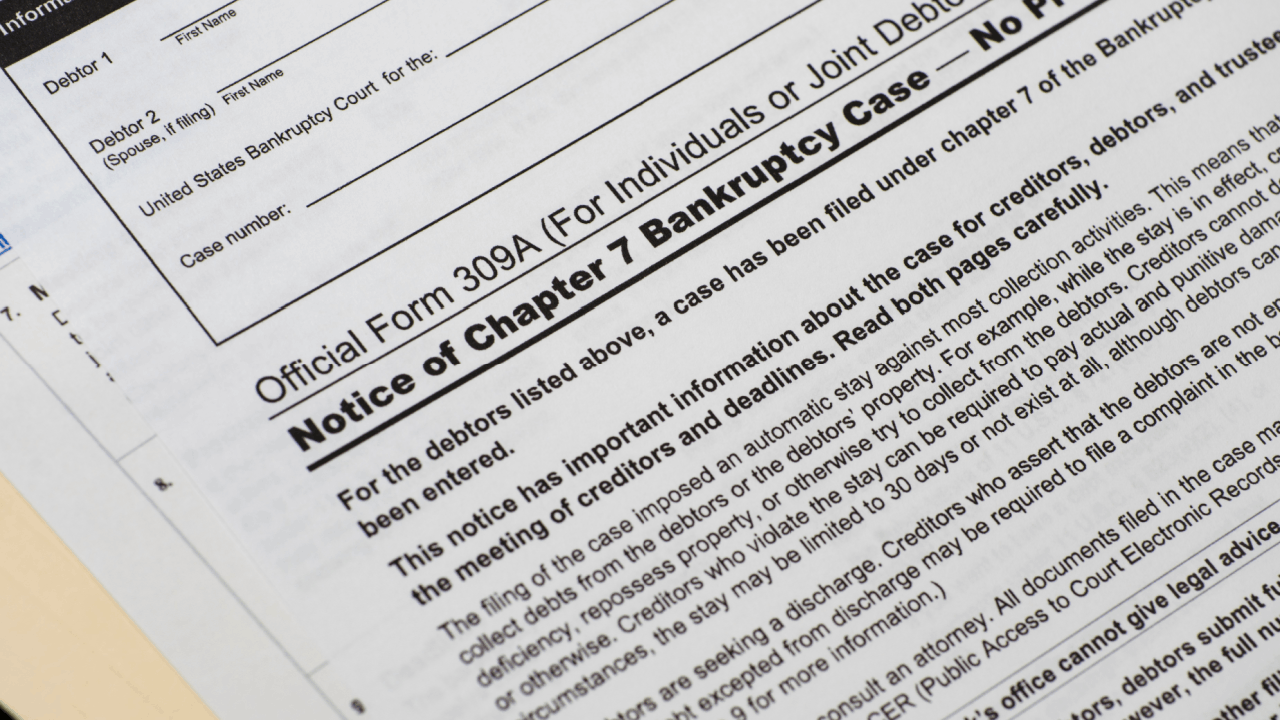 what is chapter 7 mostly about official bankruptcy court notice form
