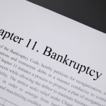 Chapter 11 bankruptcy petition document showing reorganization plan language and debtor obligations
