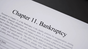 Chapter 11 bankruptcy petition document showing reorganization plan language and debtor obligations