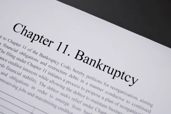 Chapter 11 bankruptcy petition document showing reorganization plan language and debtor obligations