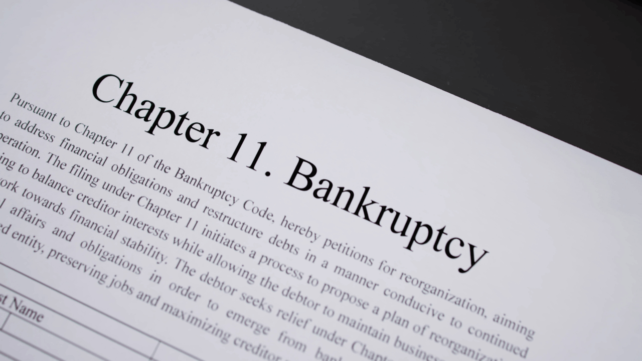 Chapter 11 bankruptcy petition document showing reorganization plan language and debtor obligations